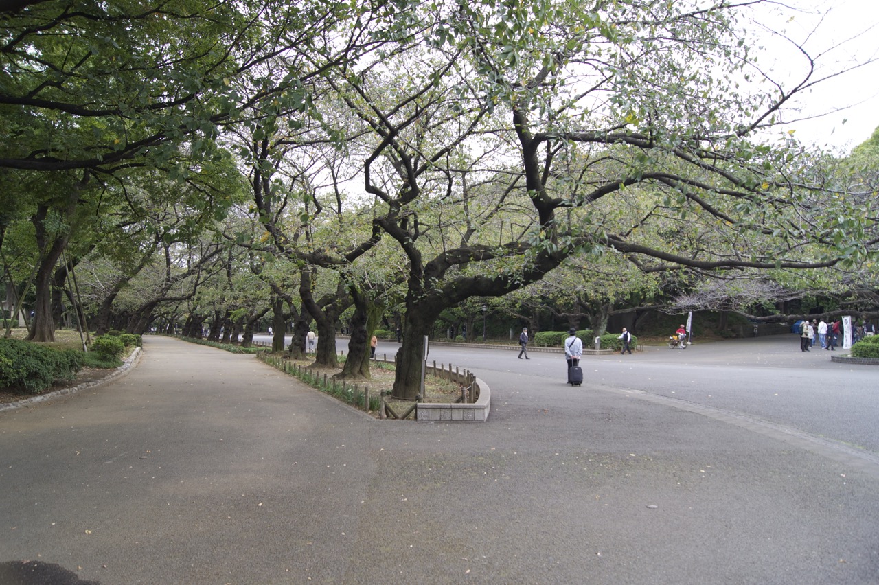 a park in tokyo